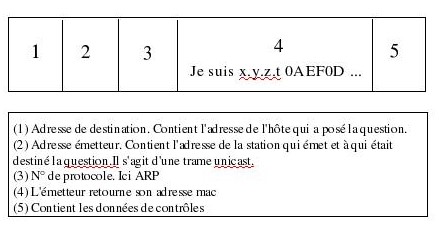 Trame Ethernet contenant une réponse ARP