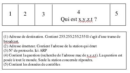 Trame Ethernet contenant une requête ARP