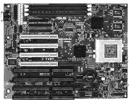 Image1.bmp