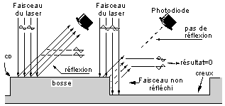 reflex.gif