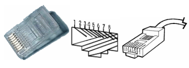 connecteur rj45