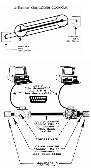 ethernet standard thicknet