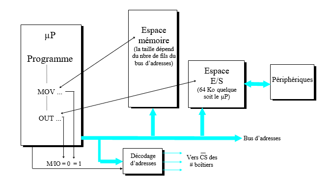 les bus