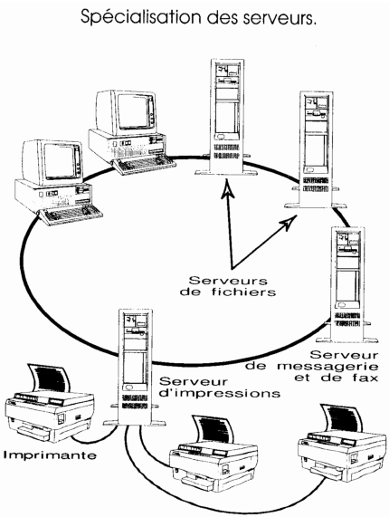 specialisation des serveurs dans un reseau informatique