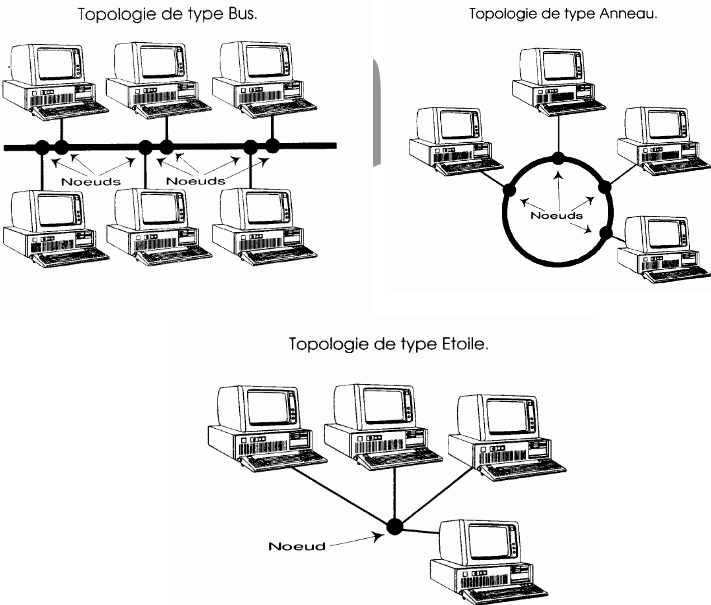 topologies reseau informatique