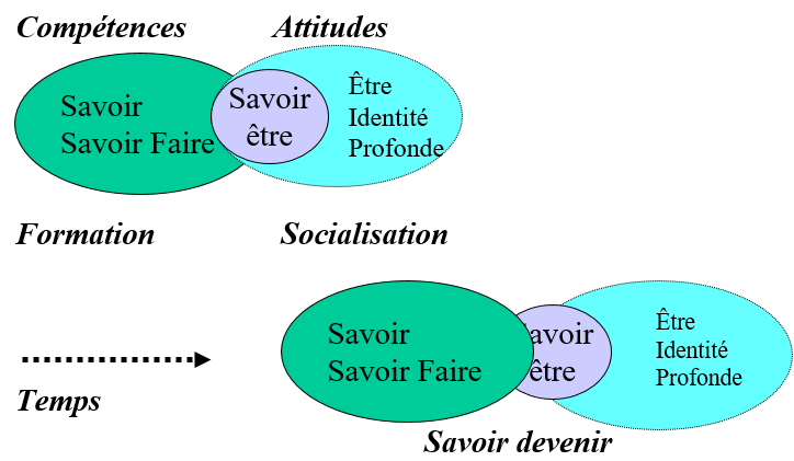 L’ENGINEERING PEDAGOGIQUE EN 5 QUESTIONNEMENTS 3 Cours-gratuit-Domaines du Savoir 1