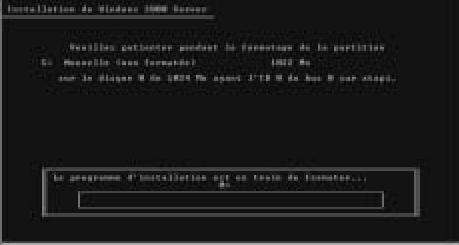 Formatage en cours