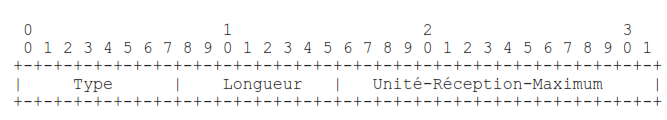 Unité-Réception-Maximale (URM)
