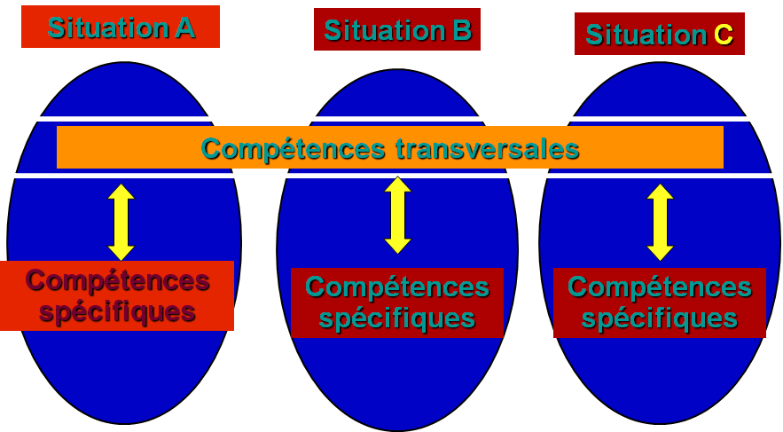 Cours de didactique complet 3 Compétences transversales