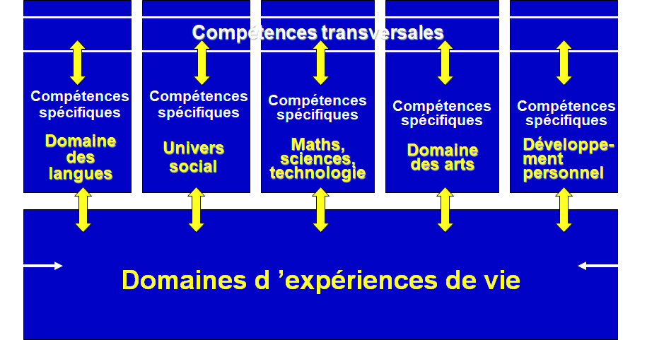 Cours de didactique complet 4 Compétences spécifiques (notamment disciplinaires) et compétences transversales