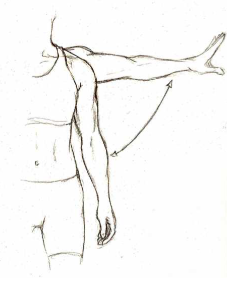 Abduction et Adduction