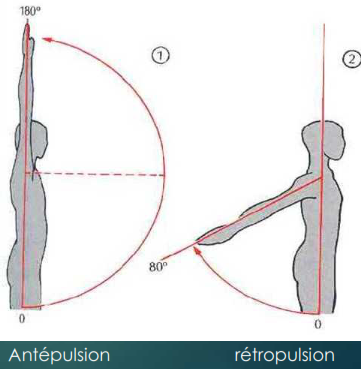 Antépulsion et rétropulsion 