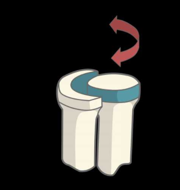 Articulation cylindrique trochoide