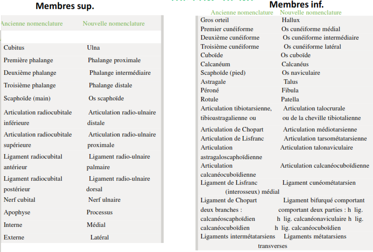 Exemples de chamgements de nomemclature pour les membres sup et inf