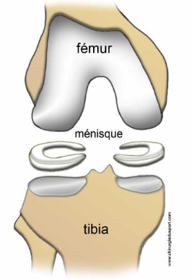 Ménisque