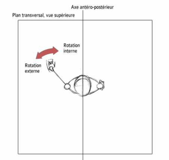 Rotation Externe et Interne