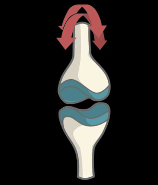 emboitement reciproque en selle