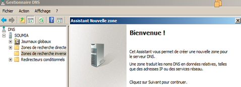 Serveur DNS: Installation et configuration du service DNS 12 gestionnaire dns zones de recherche inversée