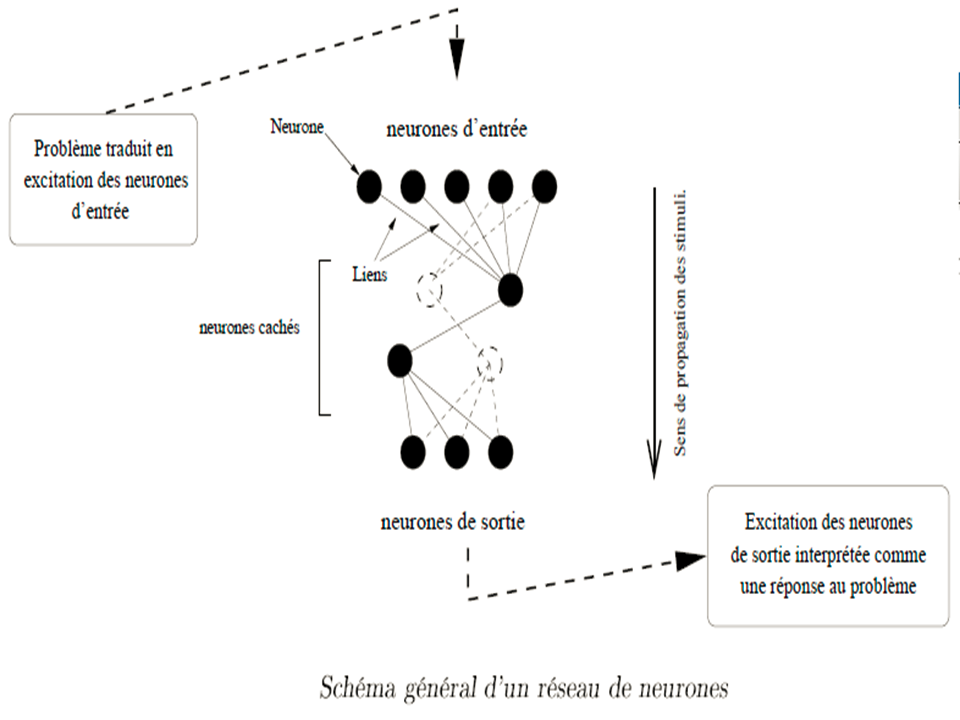 Réseau de neurones en informatique