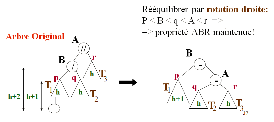 Cours d'Algorithmique : Les Arbres (ABR, AVL) + Parcours infixe, préfixe et post fixe 24 Arbres AVL: Insertion