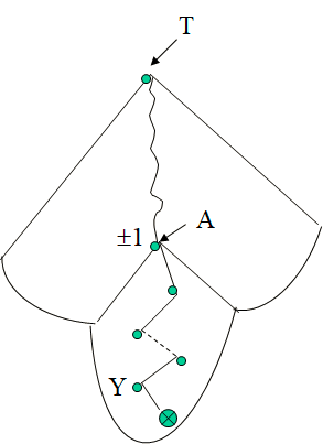 Cours d'Algorithmique : Les Arbres (ABR, AVL) + Parcours infixe, préfixe et post fixe 28 Arbre AVL: Insertion (Algorithme)