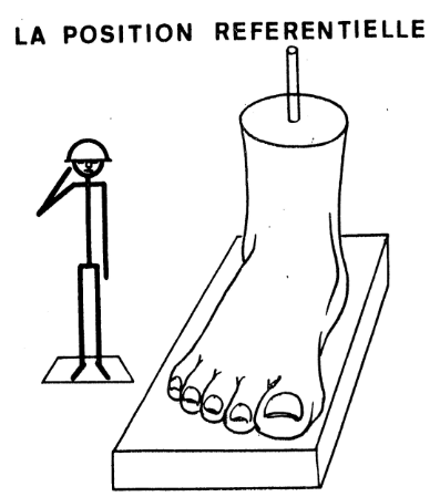 Cours anatomie 1ere année medecine : Articulation talo-crurale 26 Cours-gratuit-la position referentielle