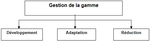 Cours de Marketing: APPROCHE STRATEGIQUE ET OPERATIONNELLE 7 Cours-gratuit-Les principales orientations de la gestion de la gamme