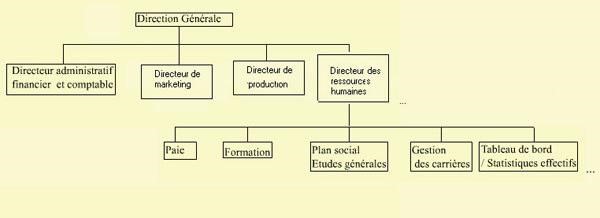 Les grandes fonctions de l'entreprise 10 Cours-gratuit-organisation de la fonction des ressources humaines